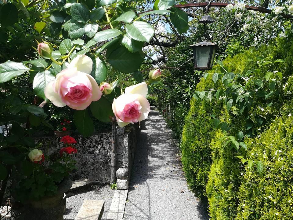 Residenza Dei Ricci Bed & Breakfast Chiusi Luaran gambar